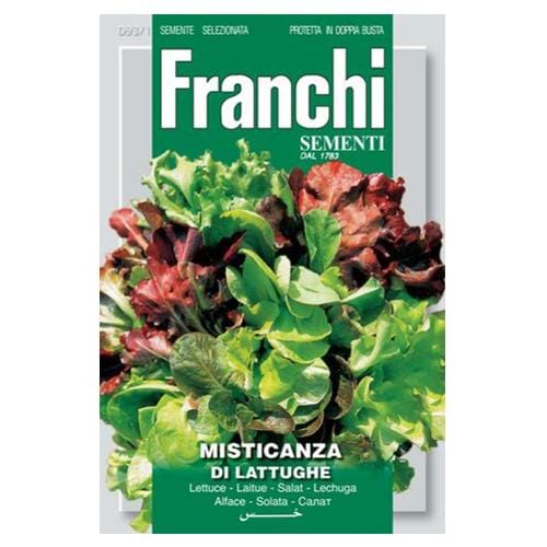 Mixed Lettuces Pack - London Grow