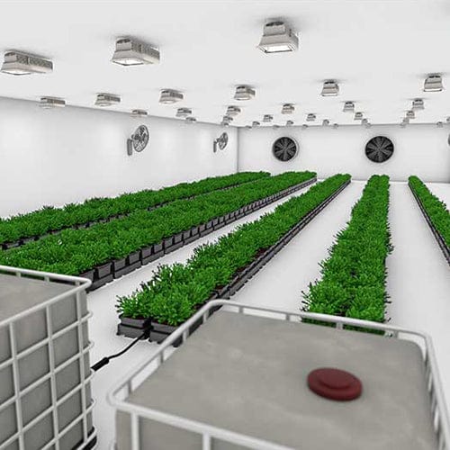 Autopot Easy2Grow - London Grow