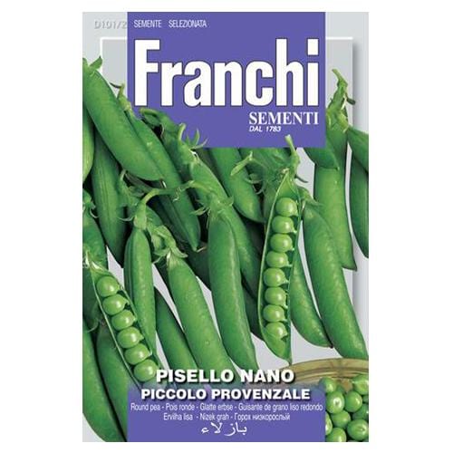 Pea Piccolo Provenzale - London Grow