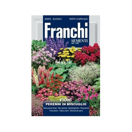 flower seeds london Mixed Perennial Flower Seeds