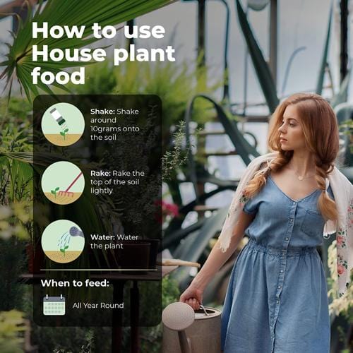 Grow Buddha - Organic House Plant Food - London Grow