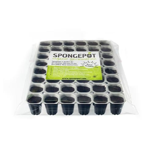 Spongepot 48 - London Grow