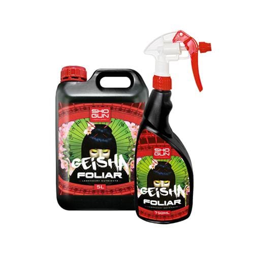 Shogun - Geisha Foliar - London Grow