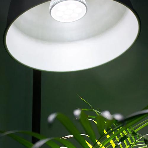 E27 LED 4000K Grow Light - London Grow