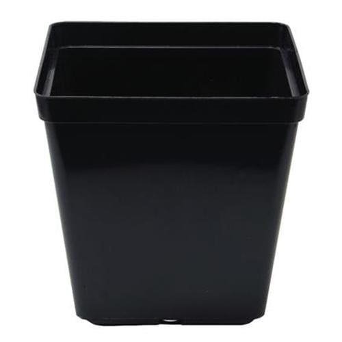 Square Plastic Pot - London Grow