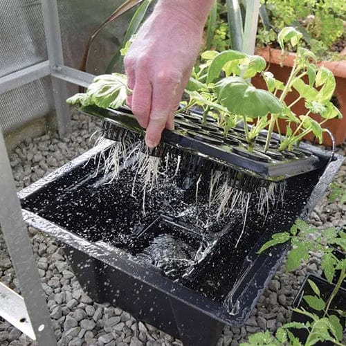 X-Stream Aeroponic Propagator - London Grow