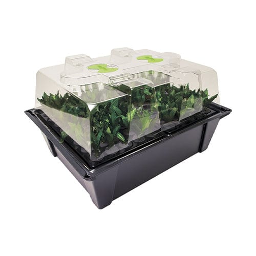 X-Stream Aeroponic Propagator - London Grow