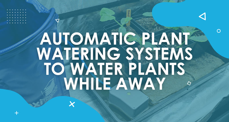 Automatic Plant Watering Systems to Water Plants While Away