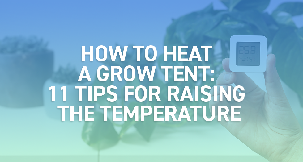 Rasing Temperature How to Heat a Grow Tent: 11 Tips for Raising the Temperature