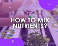 How to Mix Your Nutrients Correctly