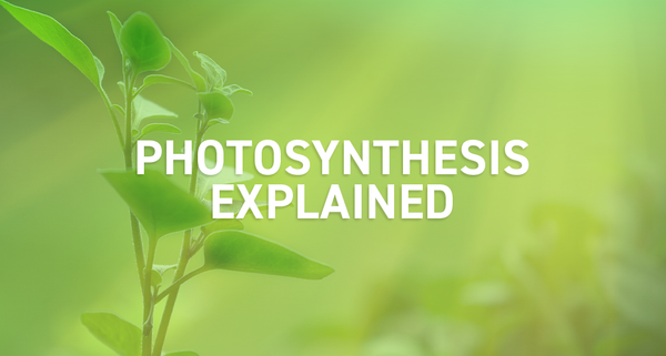 Understanding optimum Temperature and Humidity for Plants