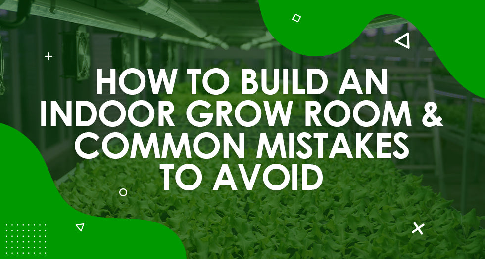 How to Build an Indoor Grow Room & Common Mistakes to Avoid