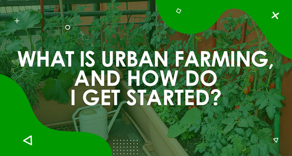What is Urban Farming, and How do I get started?