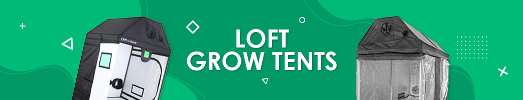 Loft Grow Tents