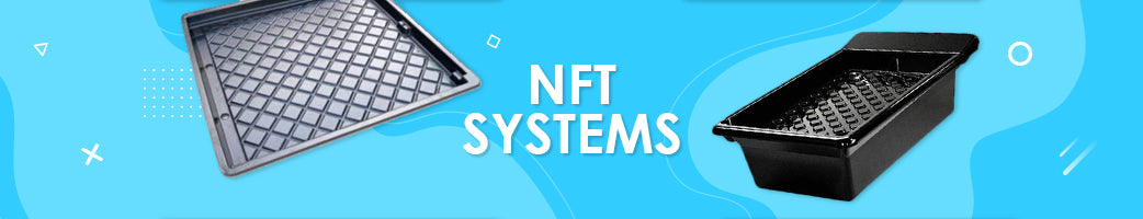 NFT Systems