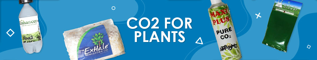 CO2 for Plants