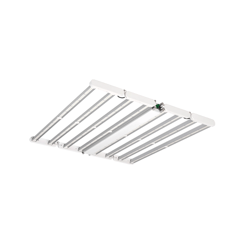 DLI Diode Series Multilayer 600 FS DC - London Grow