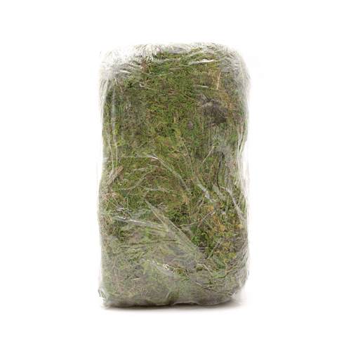 Green Moss 1kg - London Grow