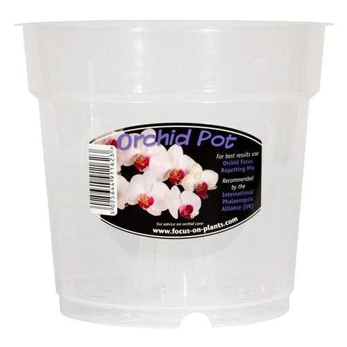 Clear Orchid pot - London Grow