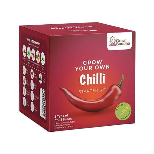 Grow Buddha - 5 Chilli Starter Kit - London Grow