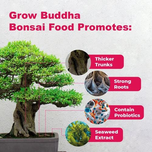 Grow Buddha - Bonsai Food - London Grow