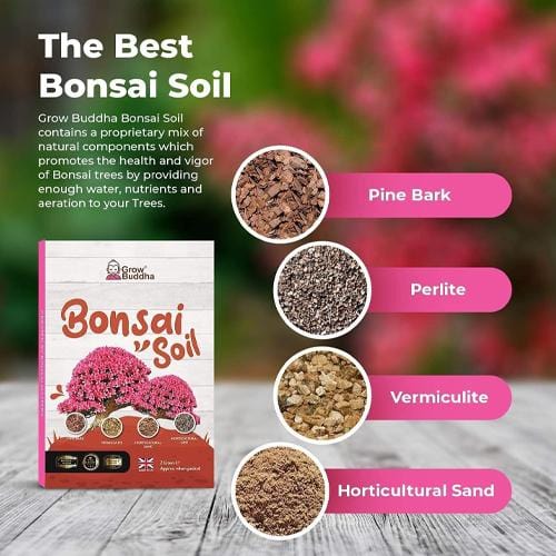 Grow Buddha - Bonsai Soil/Compost - London Grow