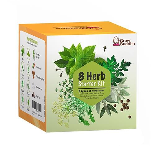 Grow Buddha - 8 Herbs Starter Kit - London Grow