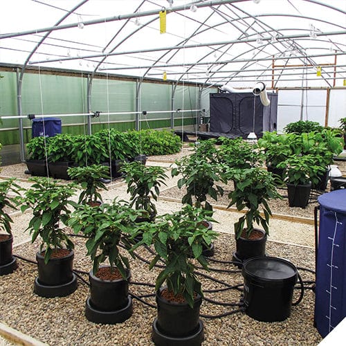 Nutriculture IWS Flood and Drain Standard Remote System - London Grow