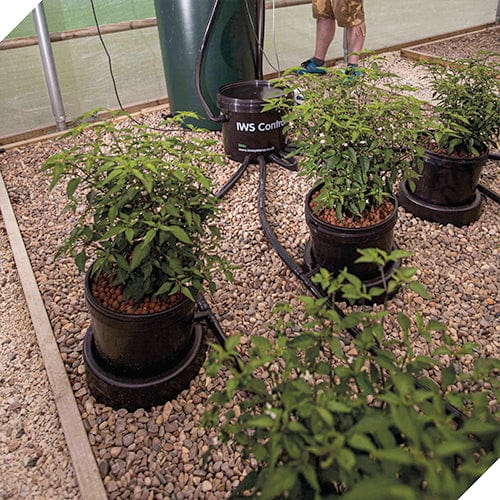 Nutriculture IWS Flood and Drain Standard Remote System - London Grow