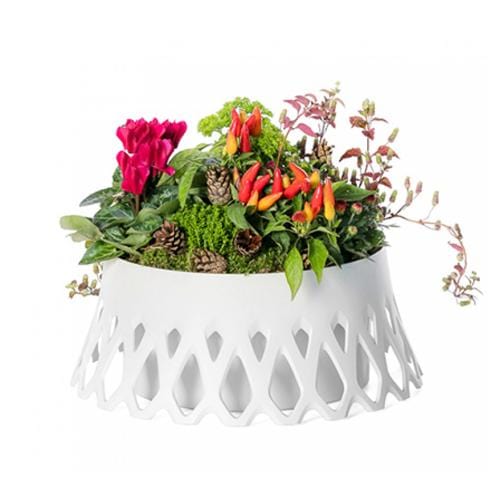Plastia Self Watering Flower Bowl Roseta - 30cm White - London Grow