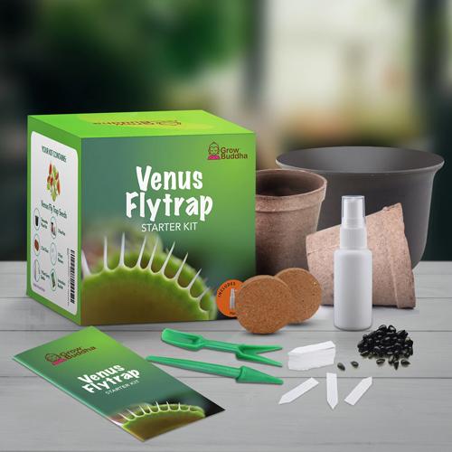Grow Buddha - Venus Flytrap Starter Kit - London Grow