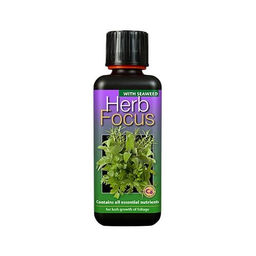 Growth Technology Herb Focus 300ml - London Grow