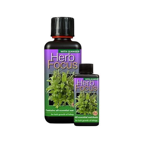Growth Technology Herb Focus - London Grow