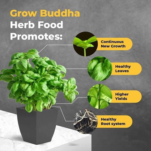 Grow Buddha - Herb Food - London Grow