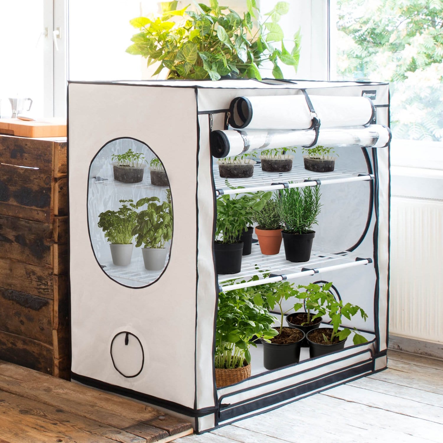 Homebox Vista Medium Propagation Tent - London Grow