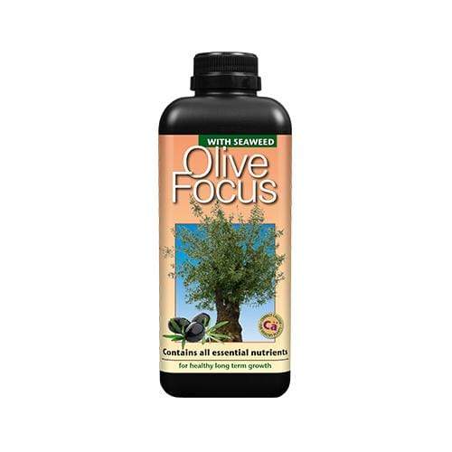 Growth Technology Olive Focus 1L - London Grow