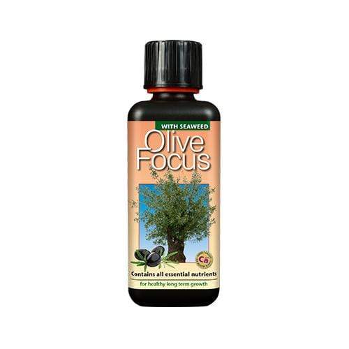 Growth Technology Olive Focus 300ml - London Grow