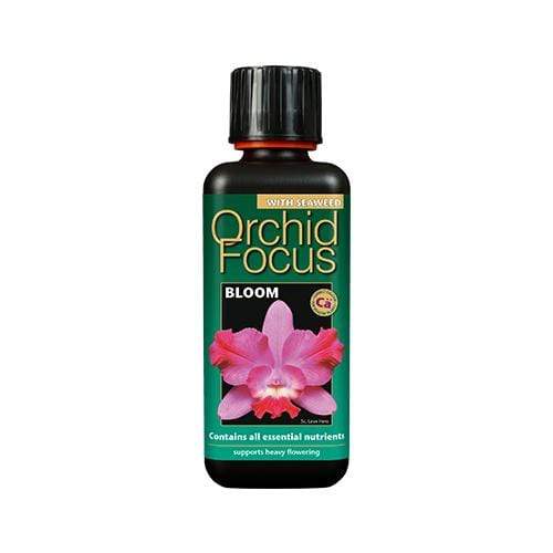 Growth Technology Orchid Focus Bloom 300ml - London Grow