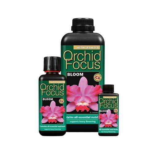 Growth Technology Orchid Focus Bloom - London Grow