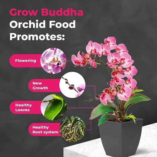 Grow Buddha - Orchid Food - London Grow