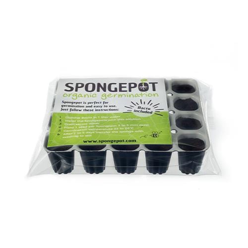 Spongepot 20 - London Grow