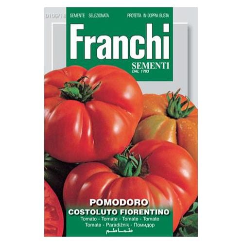 Tomato Costoluto Fiorentino - London Grow